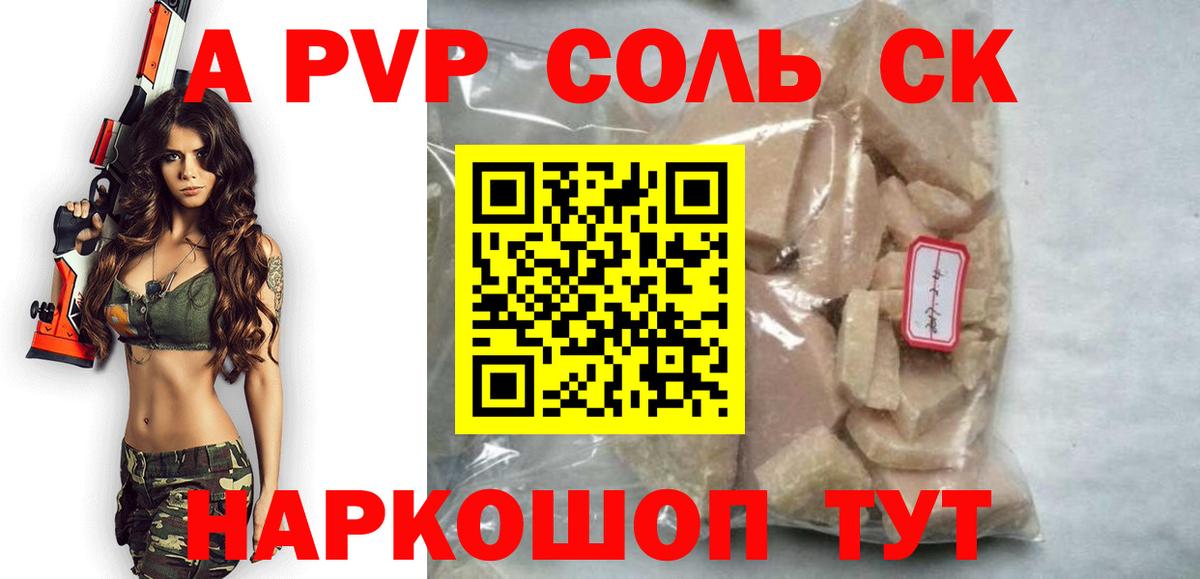 Альфа ПВП СК Грозный