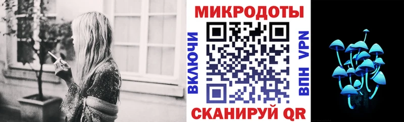 закладки  Грозный  Псилоцибиновые грибы Psilocybine cubensis 