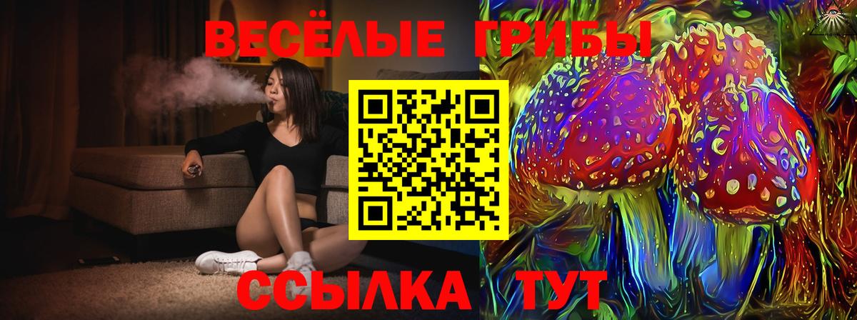 Псилоцибиновые грибы мухоморы  закладки  Грозный  Вход с VPN 