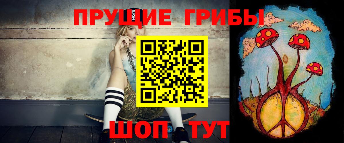 Галлюциногенные грибы Psilocybine cubensis Грозный