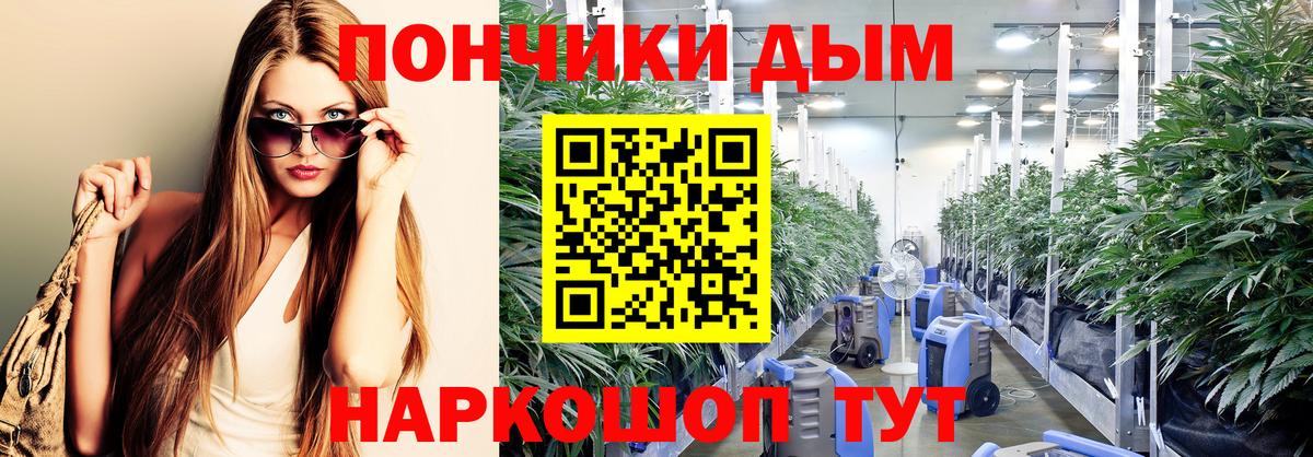 Канабис конопля Грозный